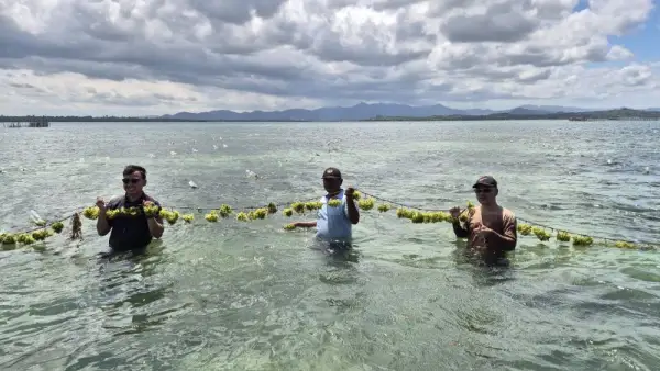 Banyu Dapat Pendanaan Awal Sebanyak Rp20 Miliar, Merevolusi Industri Rumput Laut