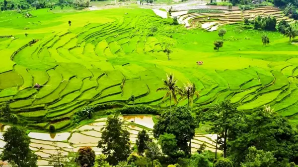 Bosan dengan Tempat Wisata yang Ramai? Kalegowa Cocok untuk Merasakan Slow Travel