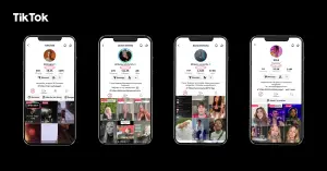 Deskripsi pekerjaan sebagai seorang penulis lagu di akun TikTok. (Sumber: TikTok)