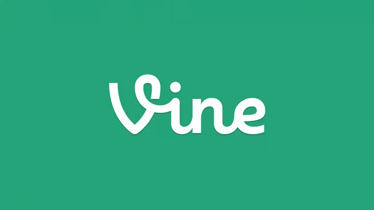 Vine.