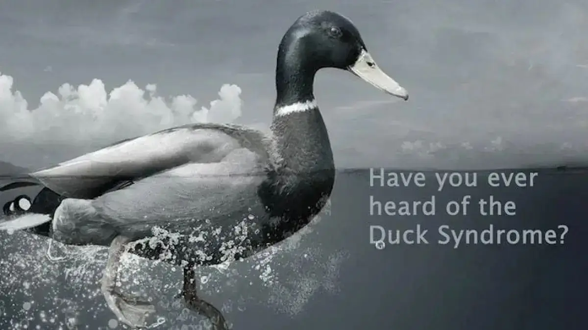 Ilustrasi duck syndrome.