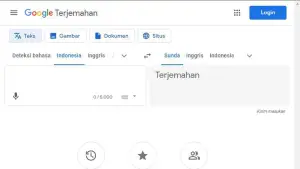 Google Translate. (Sumber: Google)