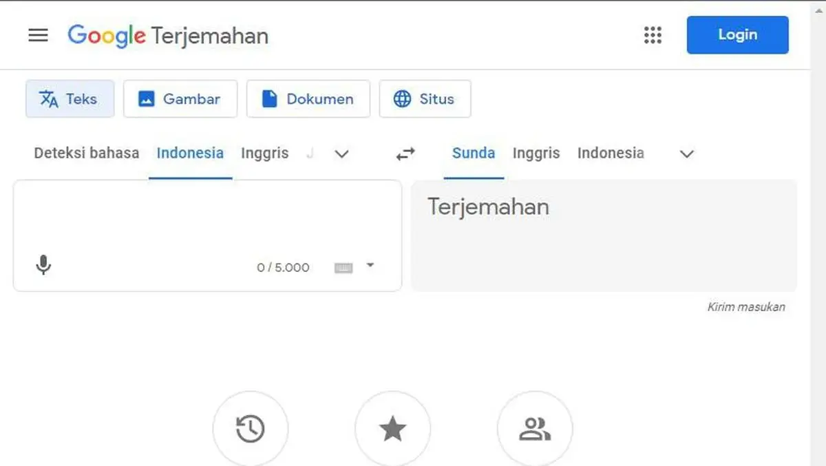 Google Translate. (Sumber: Google)