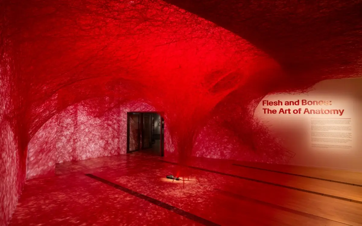 The Network Within karya Chiharu Shiota di ArtScience Museum Singapura. (Sumber: istimewa)