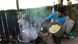 Proses pembuatan dan pengolahan tape singkong di Watugedug, Pajangan, Bantul. (Sumber: istimewa)