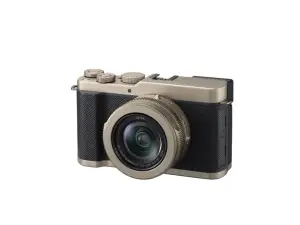 Lumix L10 Titanium Gold Special Edition. (Sumber: null)