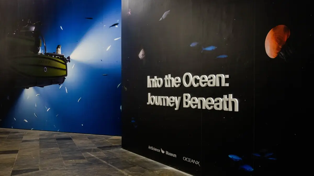 Pameran seni Into the Ocean: Journey Beneath di ArtScience Museum Singapura. (Sumber: istimewa)
