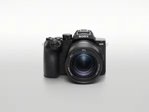 Sony RX10 V. (Sumber: Sony)