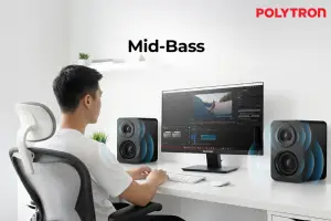 Polytron Audivo PHS 5B. (Sumber: Polytron)