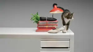 Koleksi sepatu kantor buat perempuan dari Bata. (Sumber: bata)